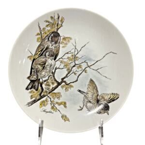 Vintage Kaiser W Germany Fine Porcelain Nature Bird Plate Stieglitre Goldfinch